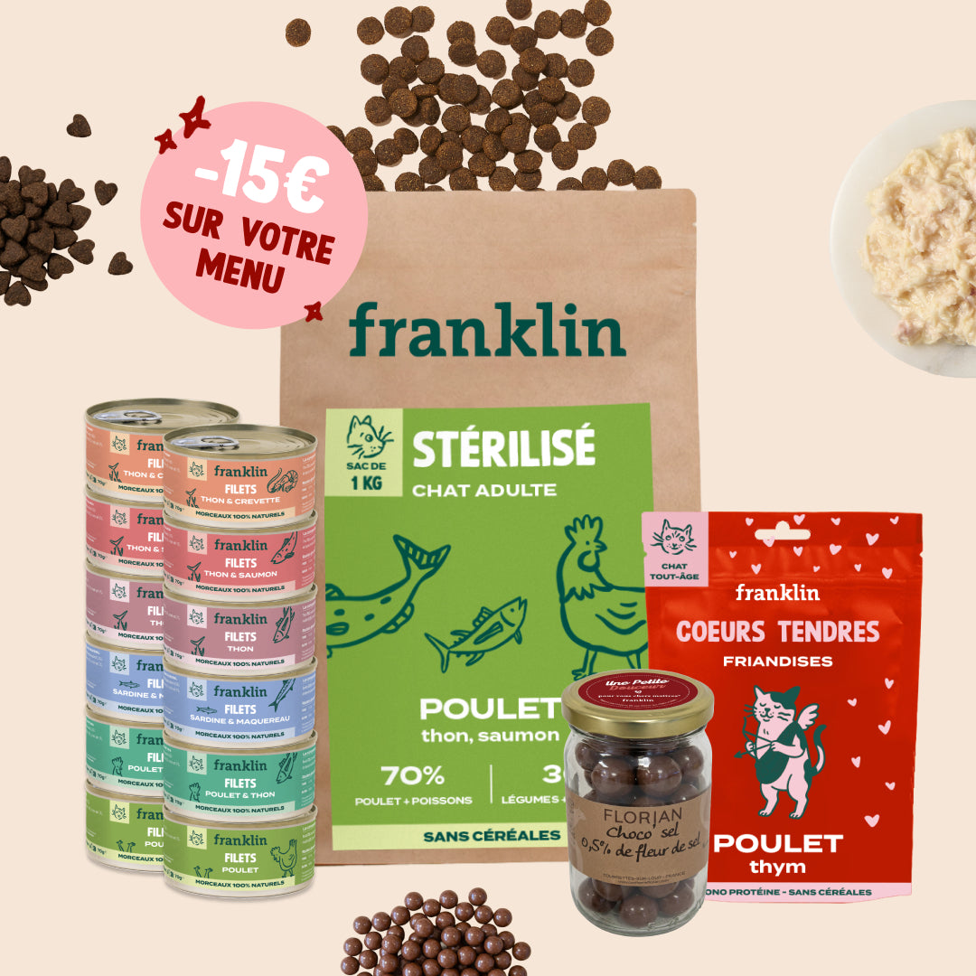 PACK DÉCOUVERTE SAINT VALENTIN CHAT