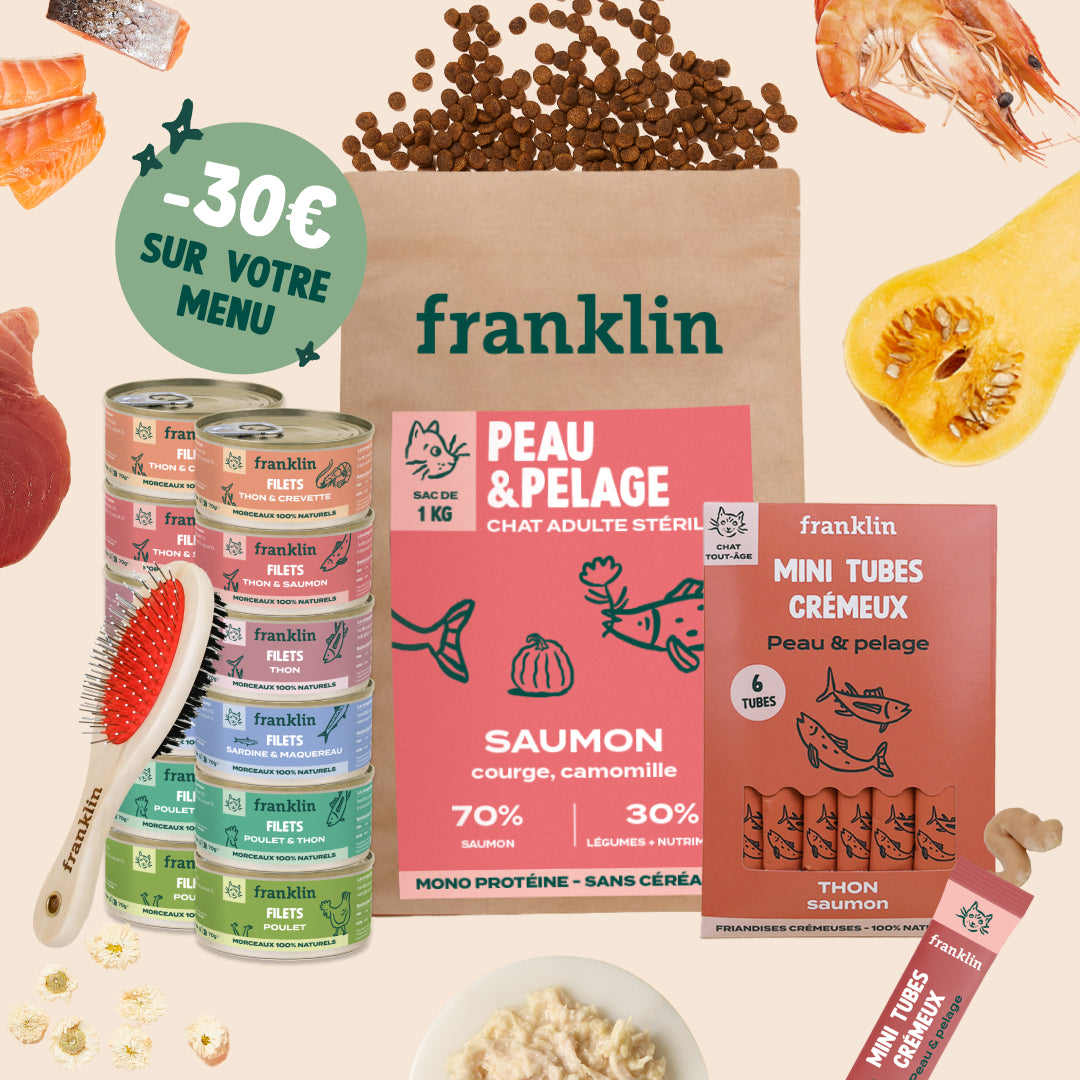 PACK PEAU SAINE POUR CHAT