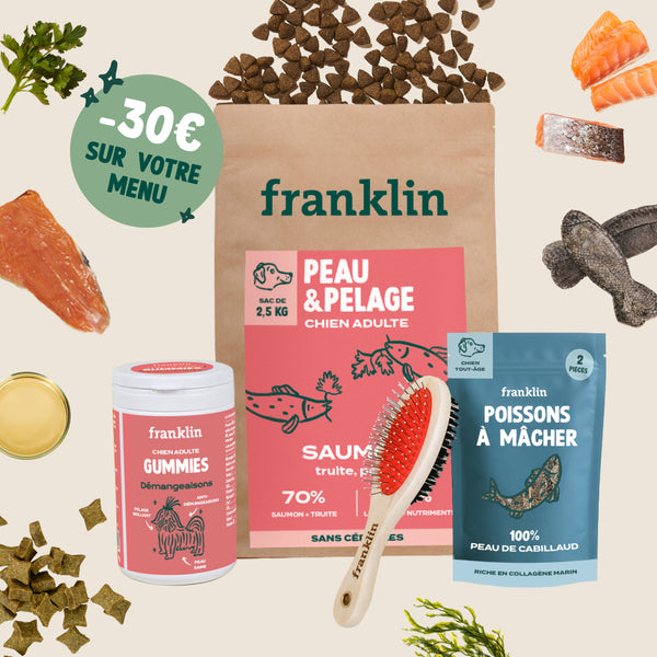 pack-peau-saine-pour-chien