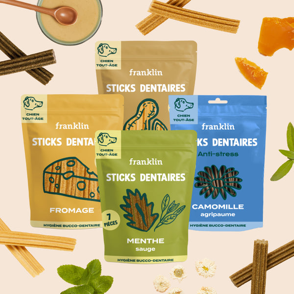 pack-decouverte-sticks-dentaires