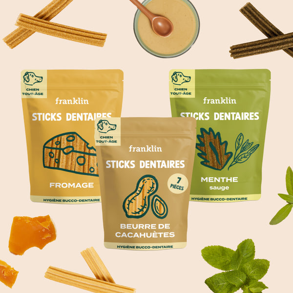 pack-decouverte-sticks-dentaires