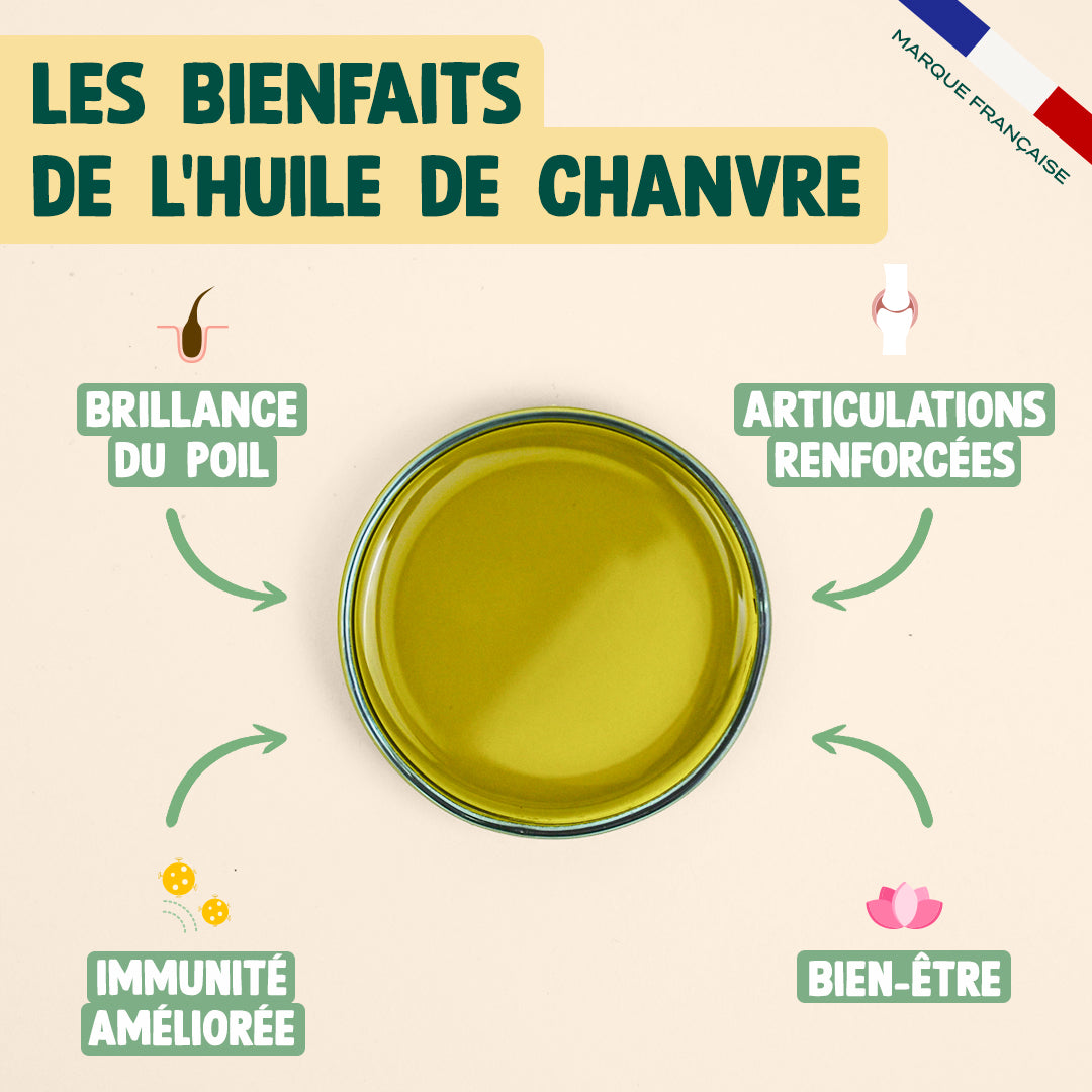 HUILE DE CHANVRE BIO