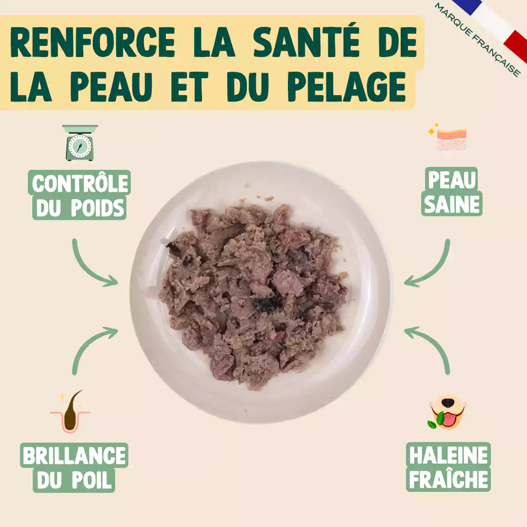 SAUMON, DINDE, CANNEBERGE