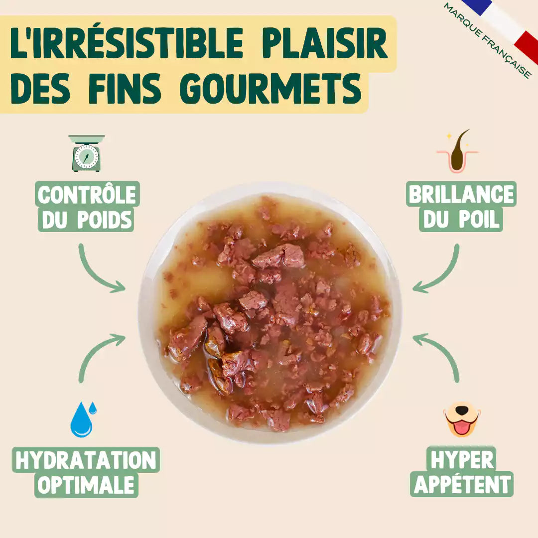 SAUMON, POULET, CAROTTE