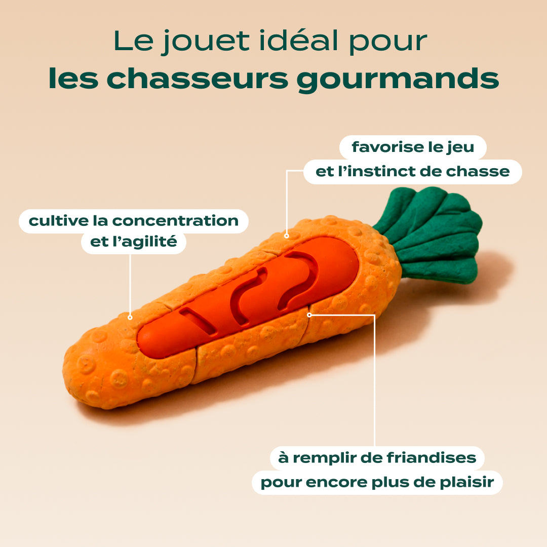 PACK DÉCOUVERTE CHIEN