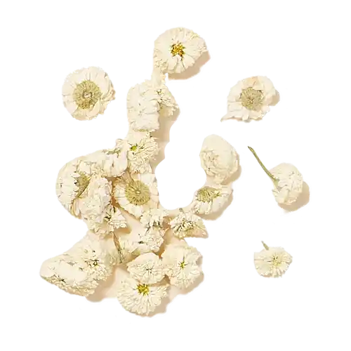 Franklin Alimentation premium pour chien et chat. Choisissez la meilleure nourriture pour votre animal : Croquettes sans céréales riches en protéines et faibles en glucides. Découvrez notre large gamme de pâtées et de friandises riches en viande !