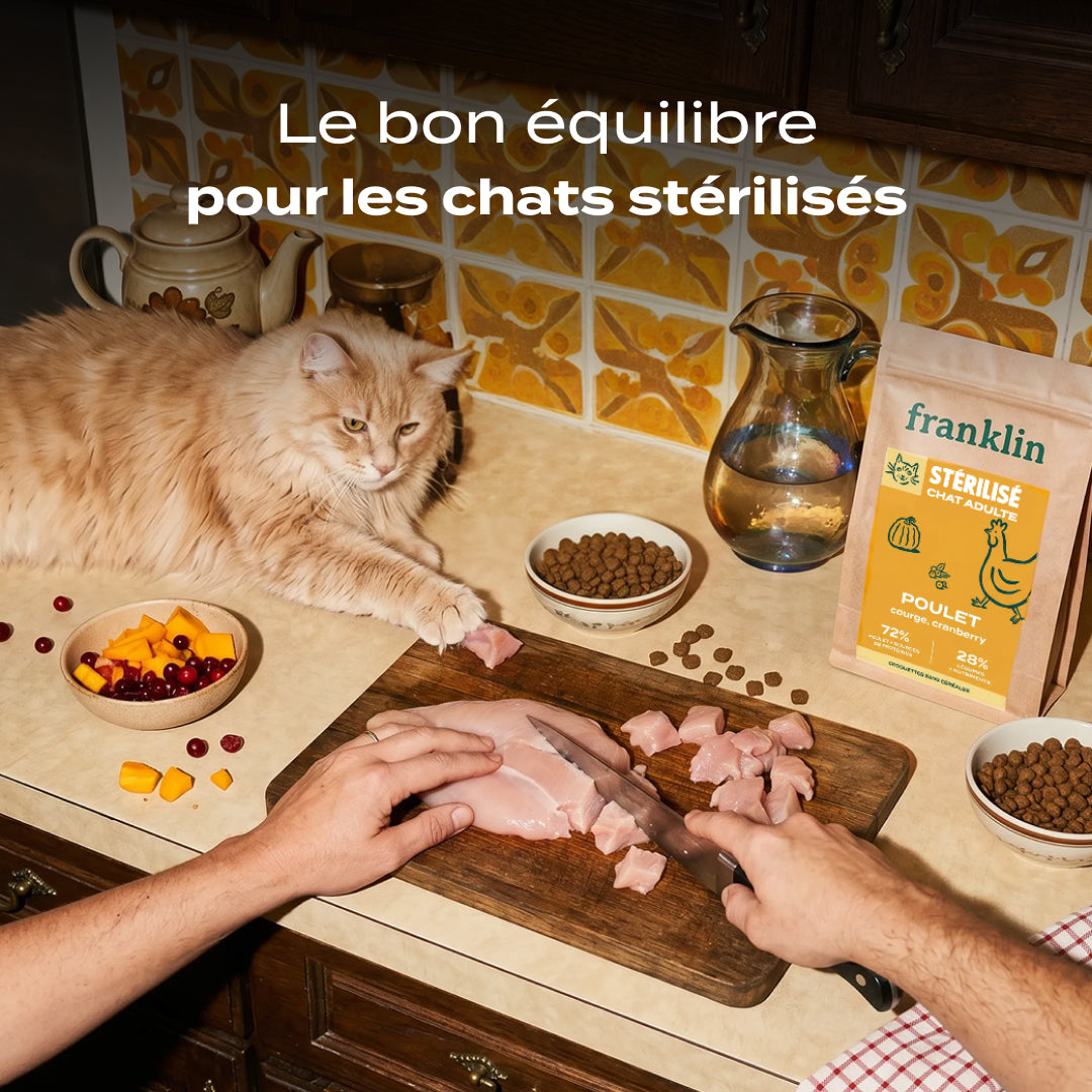 POULET, COURGE, CRANBERRY