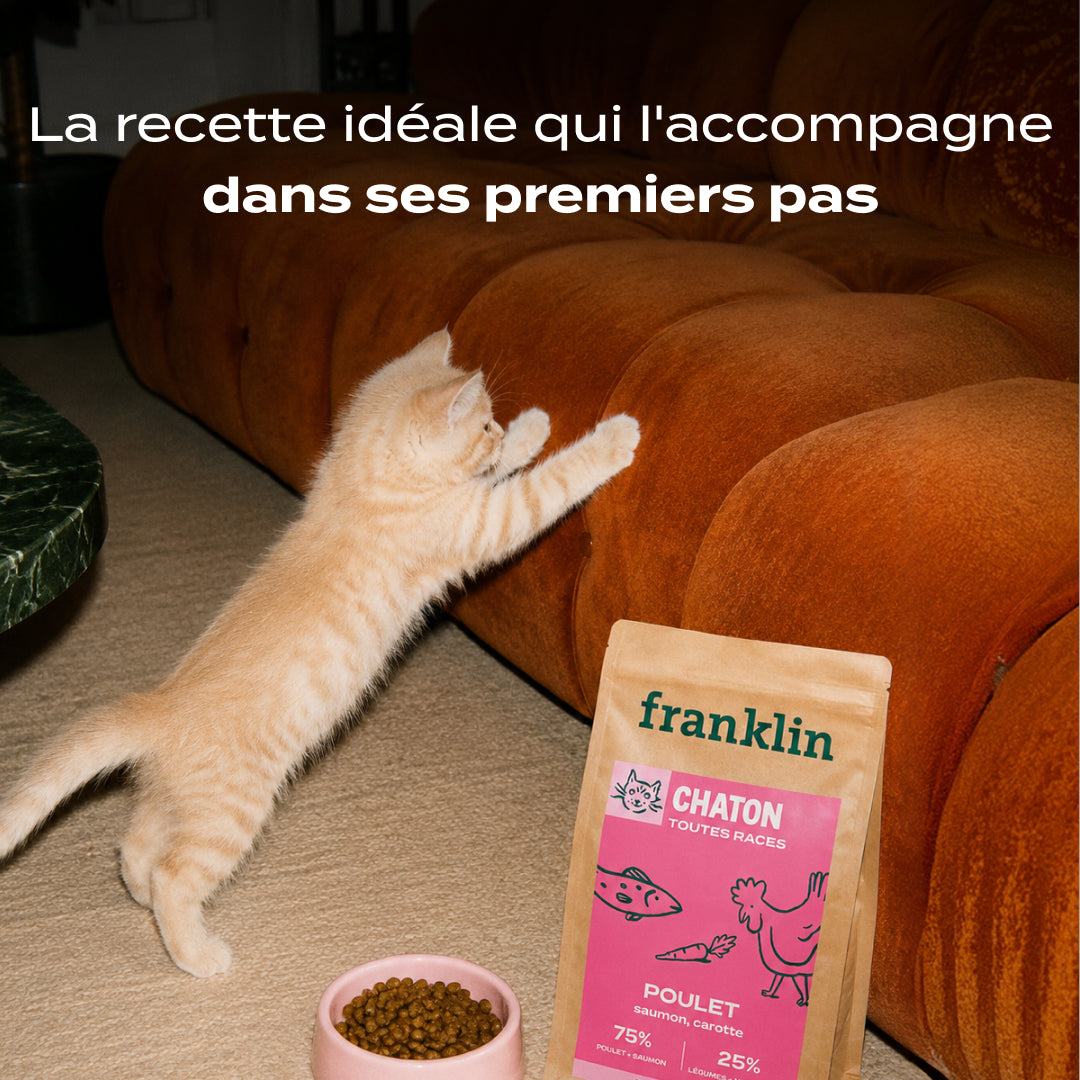 POULET, SAUMON, CAROTTE
