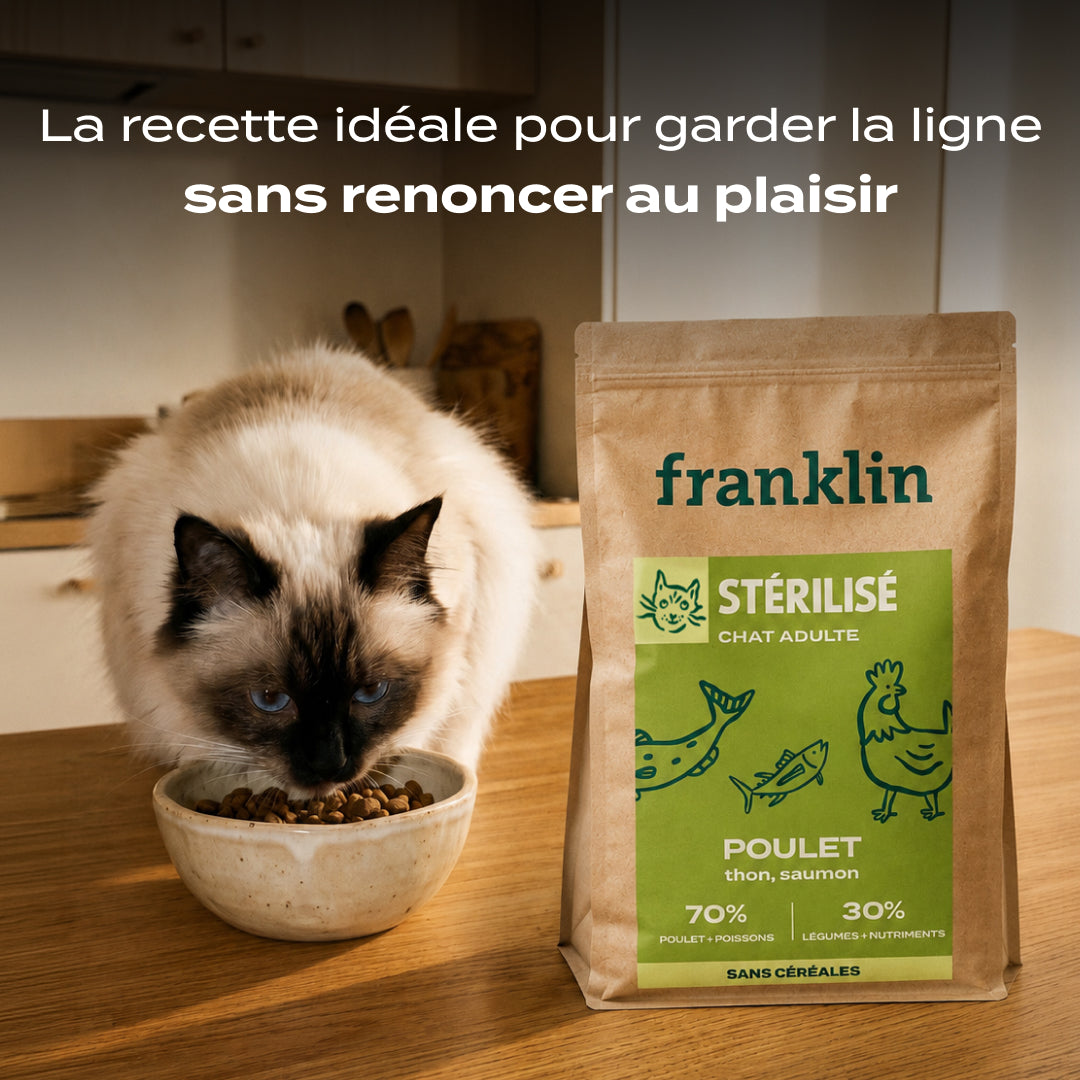 POULET, THON, SAUMON