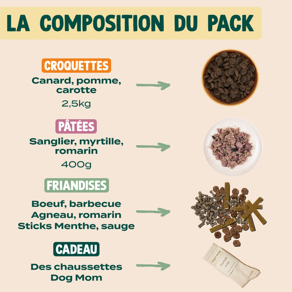 pack-decouverte-chien