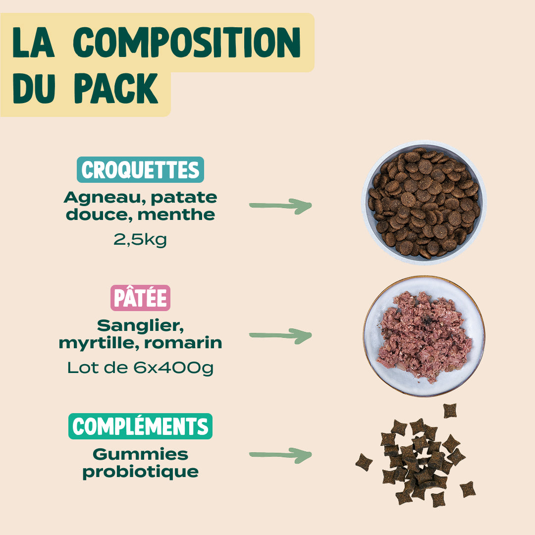 PACK DIGESTION CHIEN