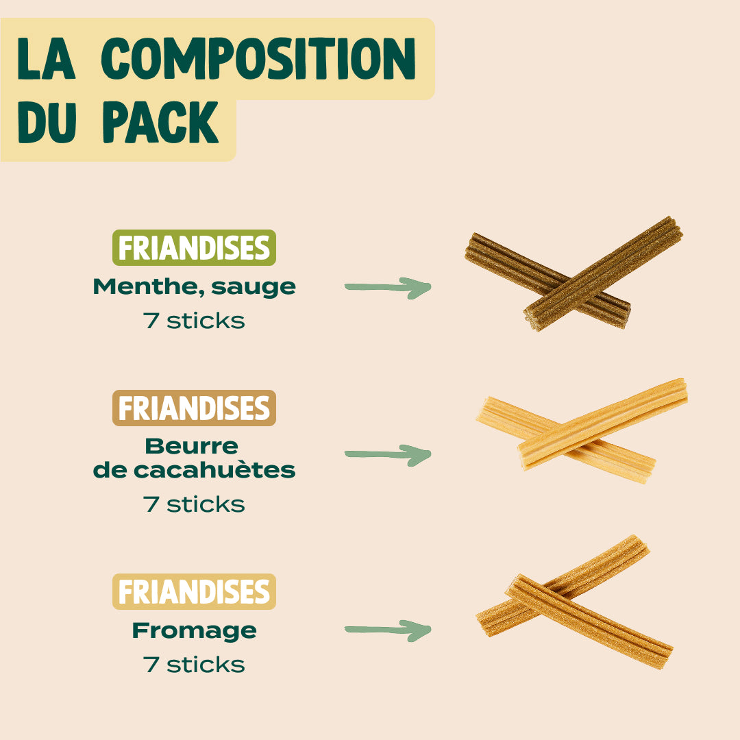 PACK DÉCOUVERTE STICKS DENTAIRES