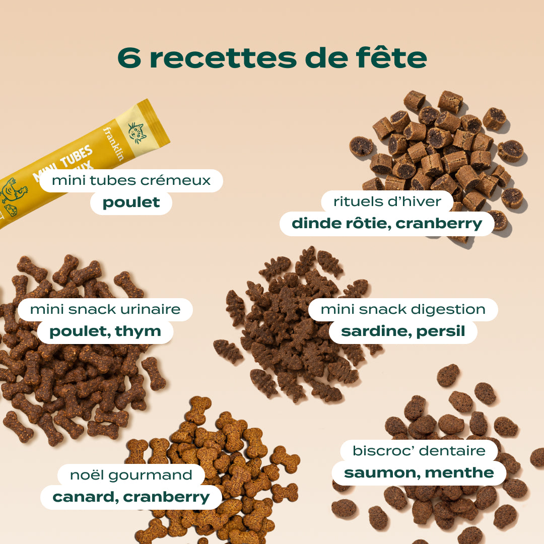 CALENDRIER DE L'AVENT CHAT