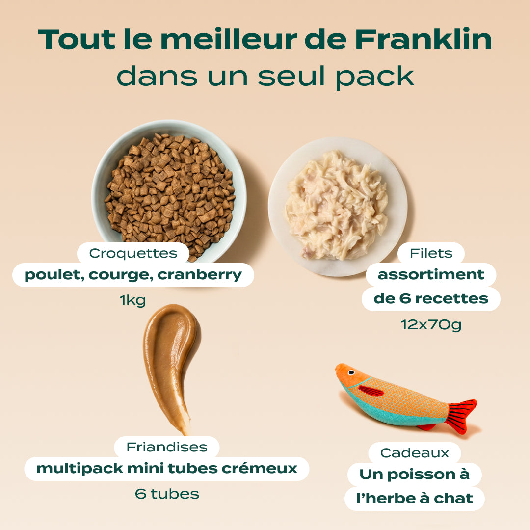 PACK DÉCOUVERTE CHAT