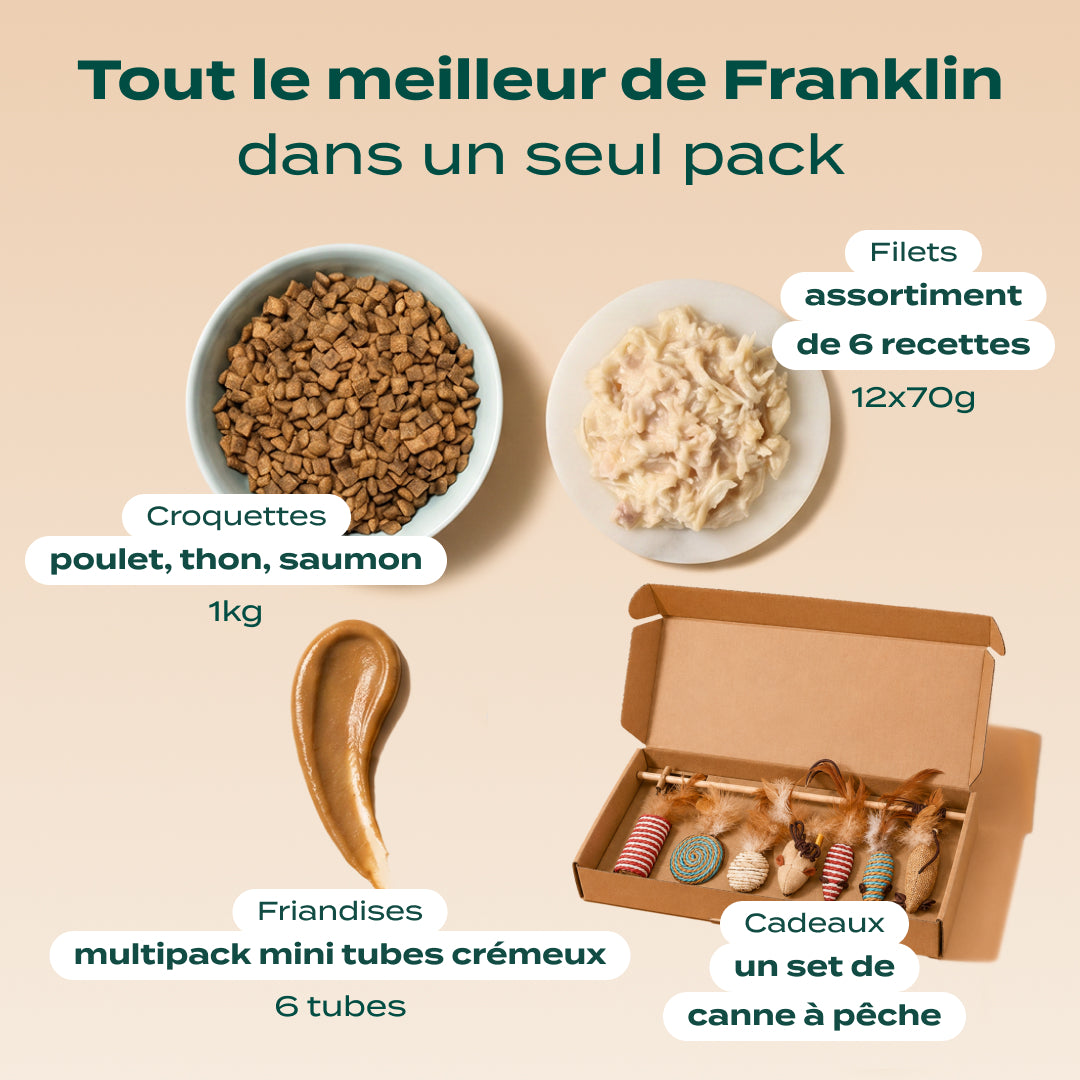 PACK DÉCOUVERTE CHAT