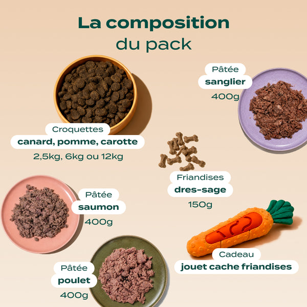 pack-decouverte-chien