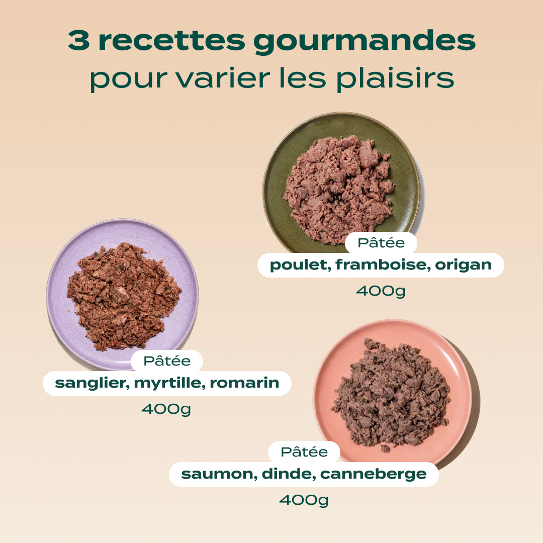 TRIO 3 SAVEURS PÂTÉES