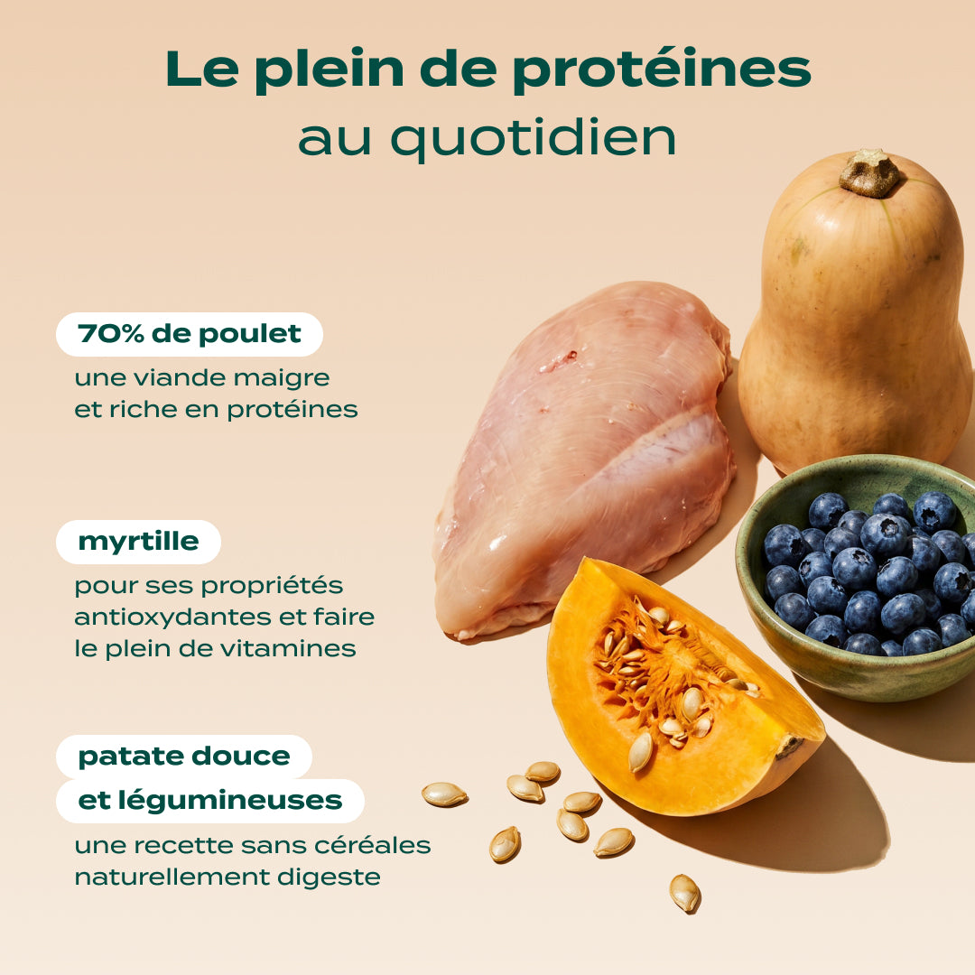 POULET, COURGE, MYRTILLE