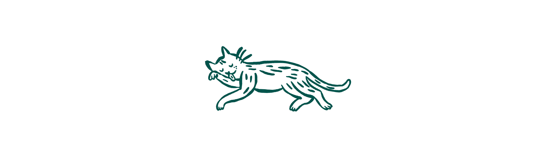 Symptômes de boule de poils chez le chat : toilettage excessif, toux fréquente, régurgitations, digestion ralentie.