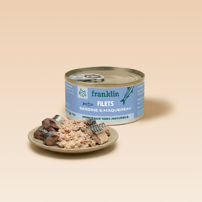 sardine-amp-maquereau