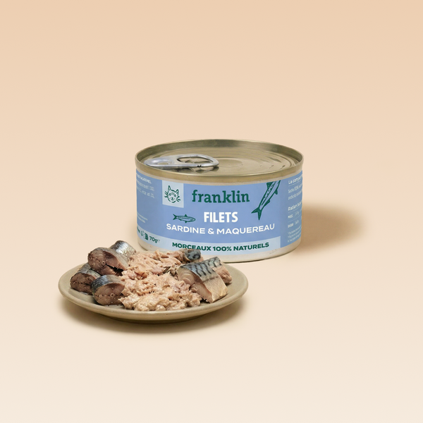 sardine-amp-maquereau