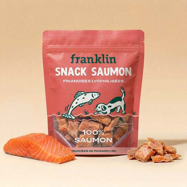 SNACK SAUMON