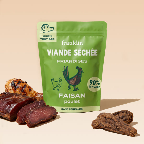 faisan-seche