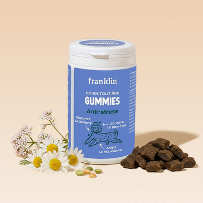 gummies-anti-stress