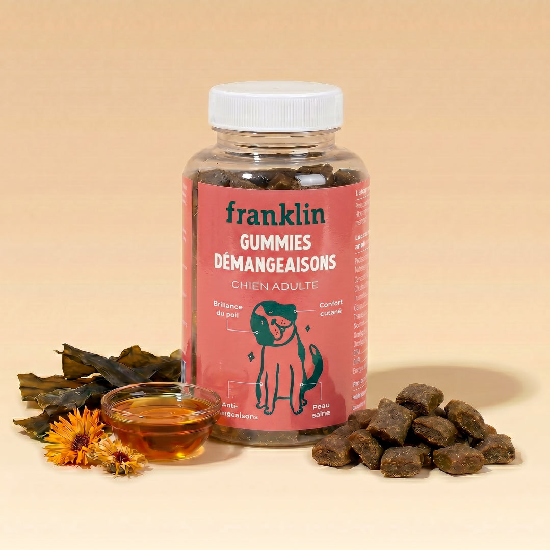 Franklin Alimentation premium pour chien et chat. Choisissez la meilleure nourriture pour votre animal : Croquettes sans céréales riches en protéines et faibles en glucides. Découvrez notre large gamme de pâtées et de friandises riches en viande !