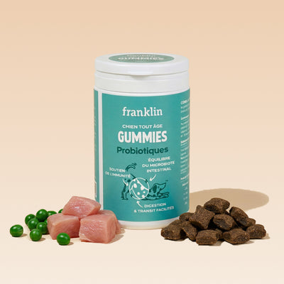 gummies-probiotiques