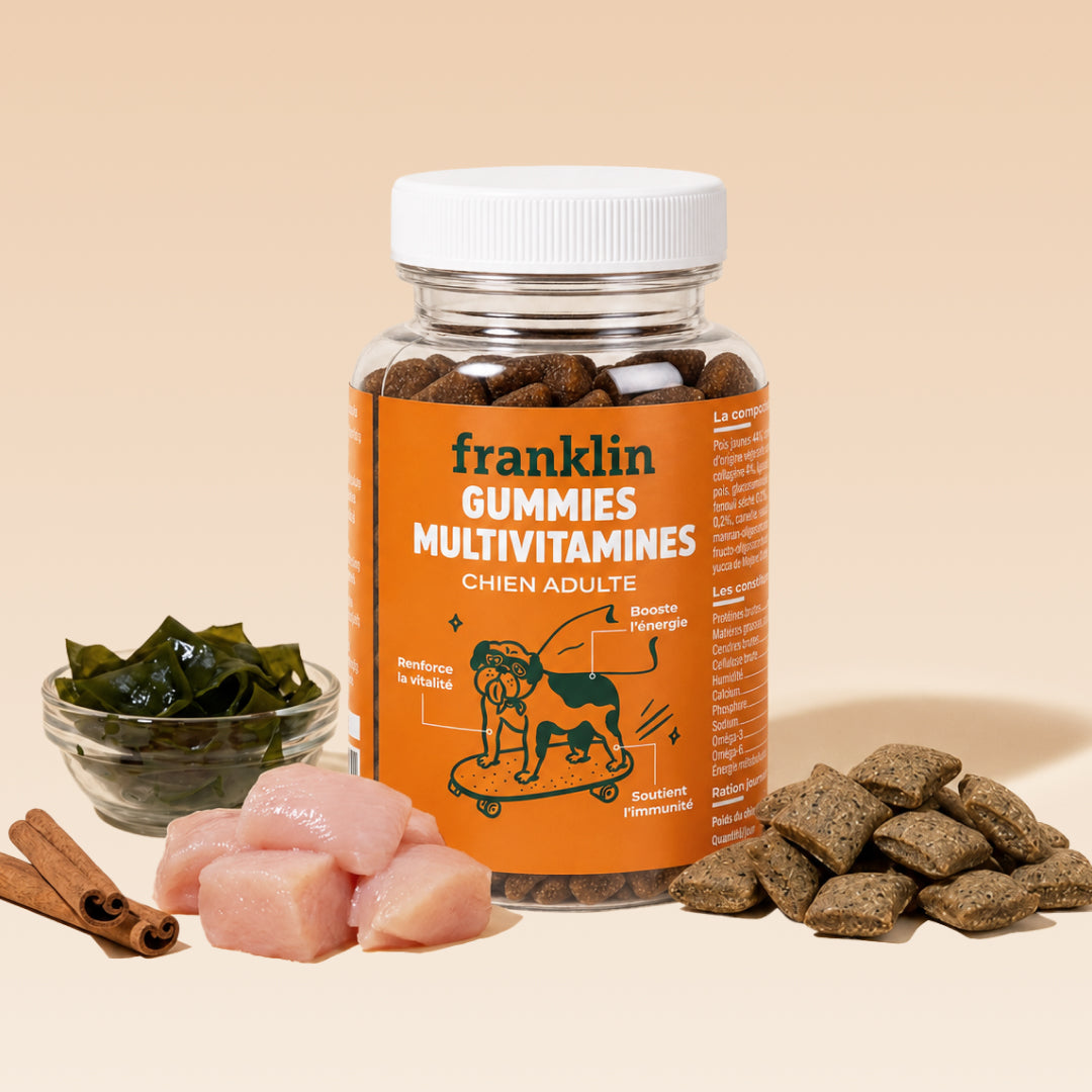 GUMMIES MULTIVITAMINES