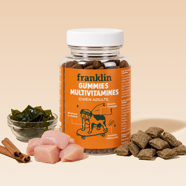 GUMMIES MULTIVITAMINES