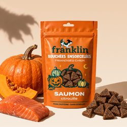 BOUCHÉES ENSORCELÉES SAUMON, CITROUILLE