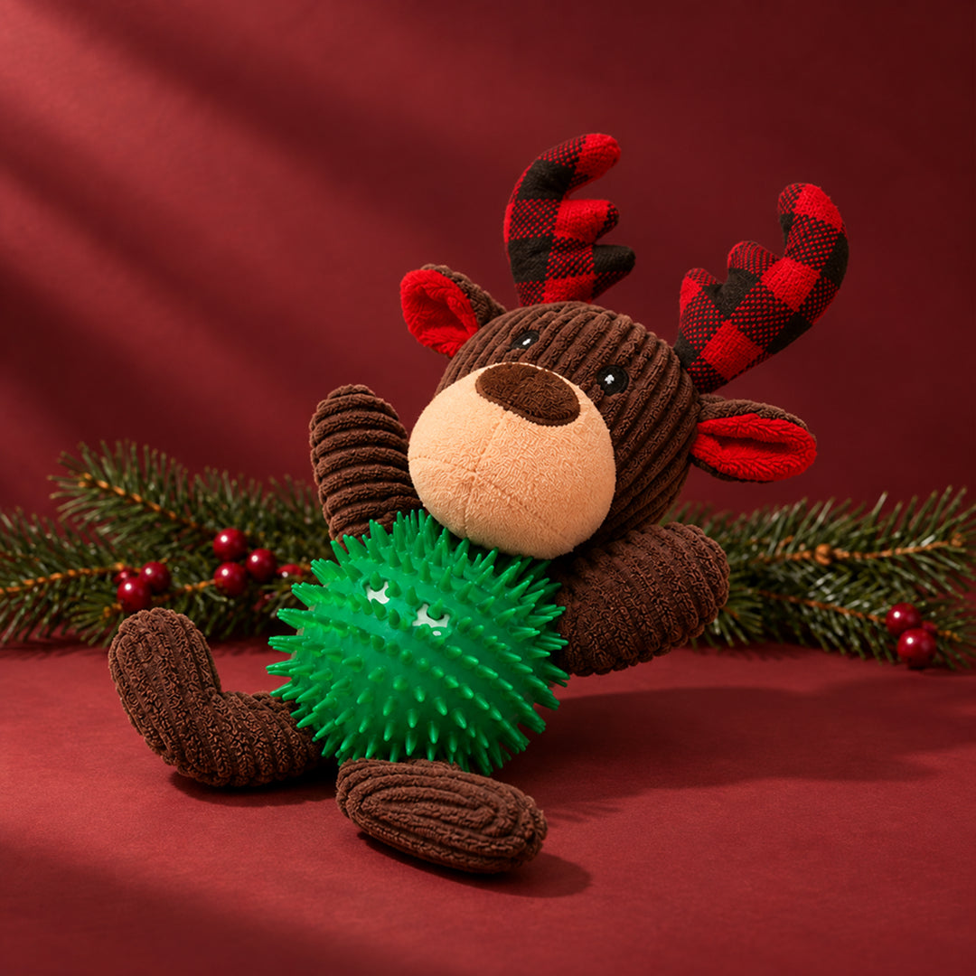 RENNE DE NOËL