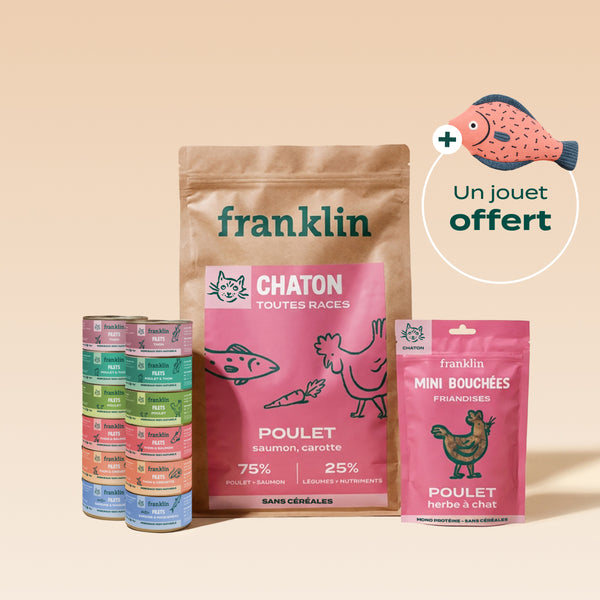 pack-decouverte-chaton