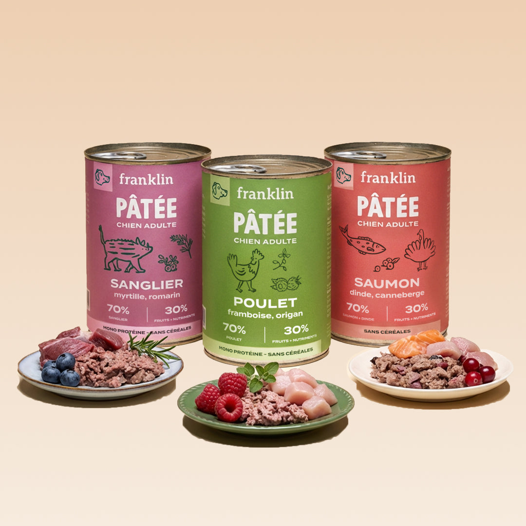 TRIO 3 SAVEURS PÂTÉES