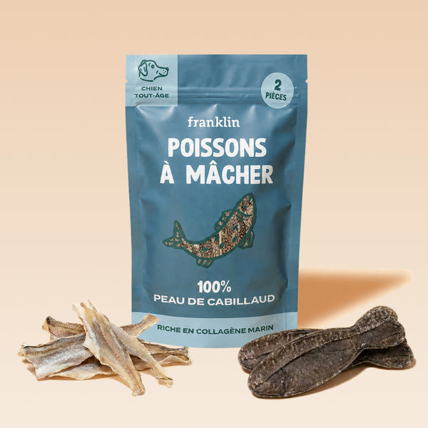 poissons-a-macher