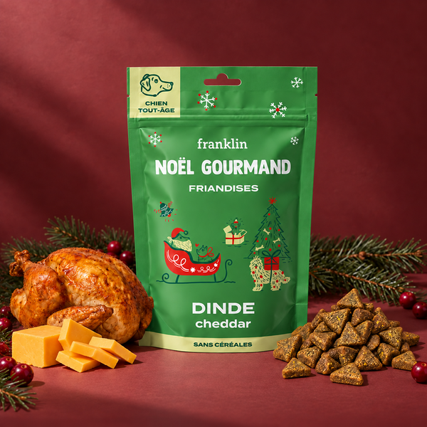 noel-gourmand-dinde-cheddar