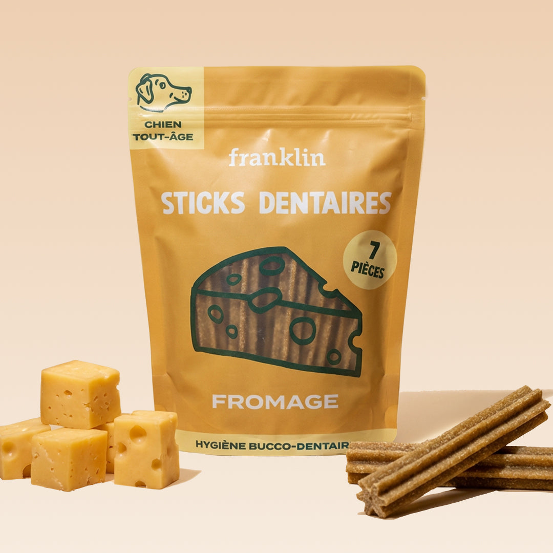 STICKS AU FROMAGE
