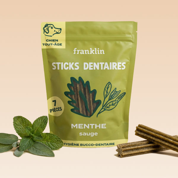 sticks-menthe-sauge