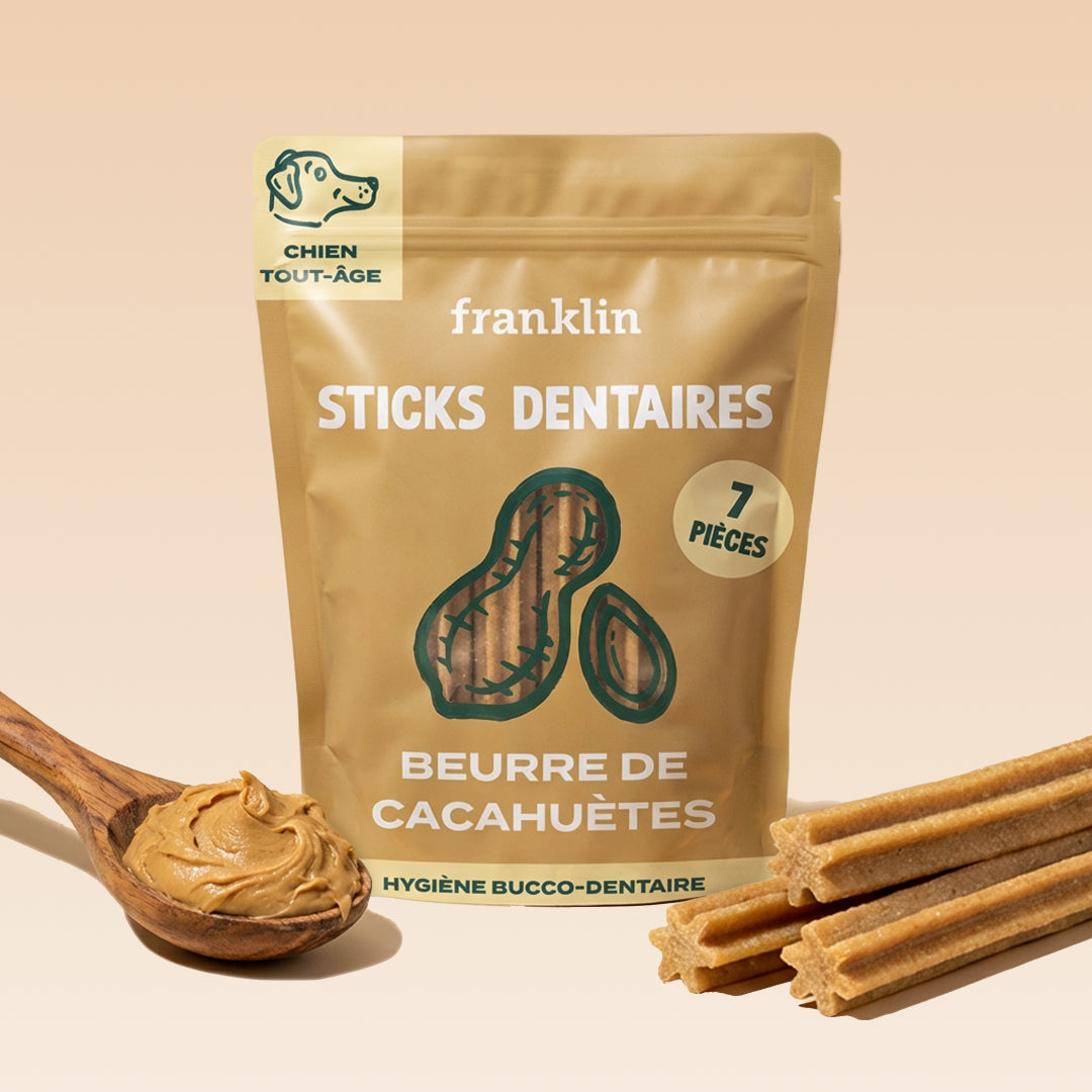 STICKS AU BEURRE DE CACAHUÈTES