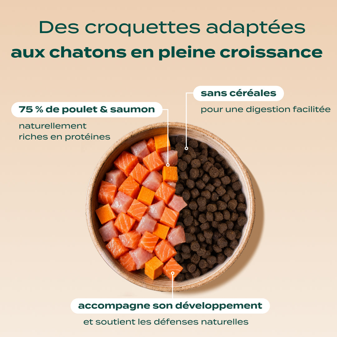PACK DÉCOUVERTE CHATON