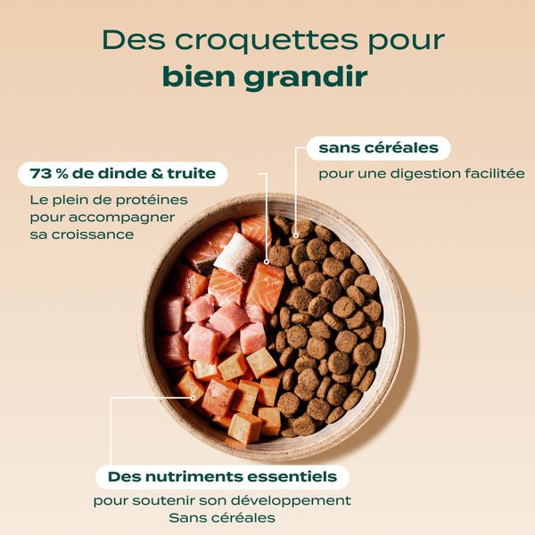 pack-decouverte-chiot