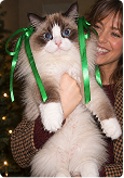 Le Noël