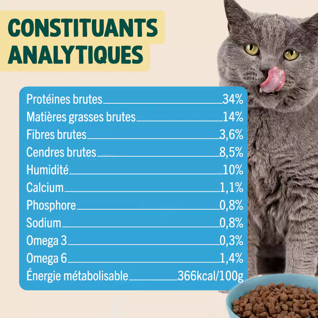 POULET, MYRTILLE, BASILIC