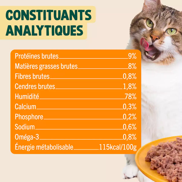 trio-decouverte-patees-chat