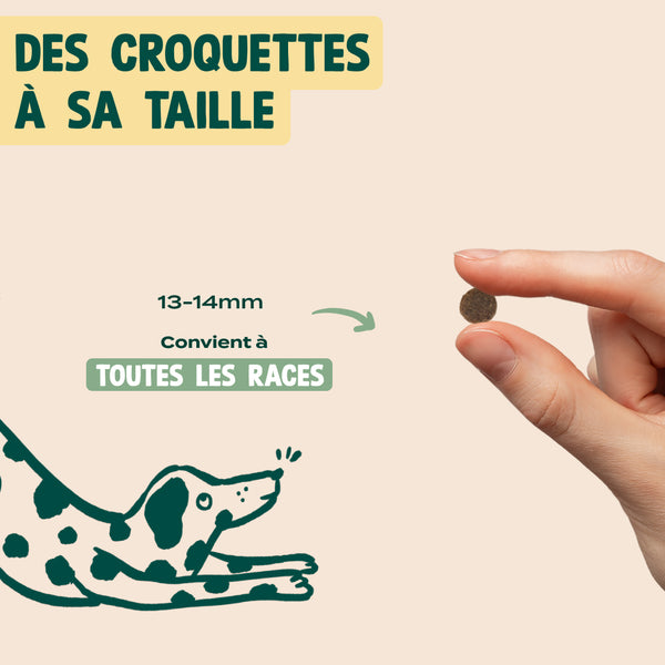 dinde-patate-douce-epinards
