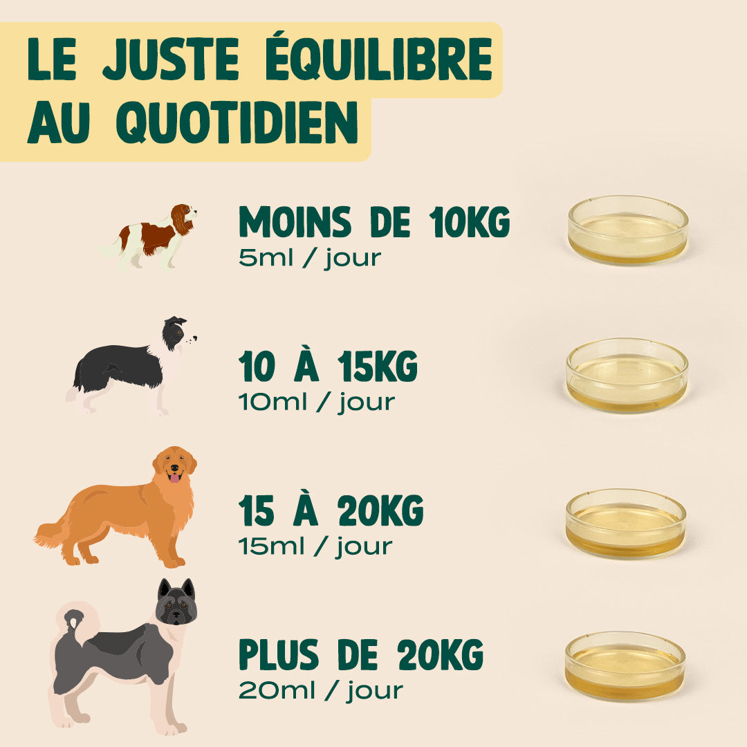 HUILE DE CHANVRE BIO