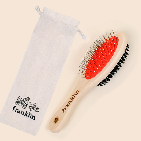 la-brosse-2-en-1-franklin