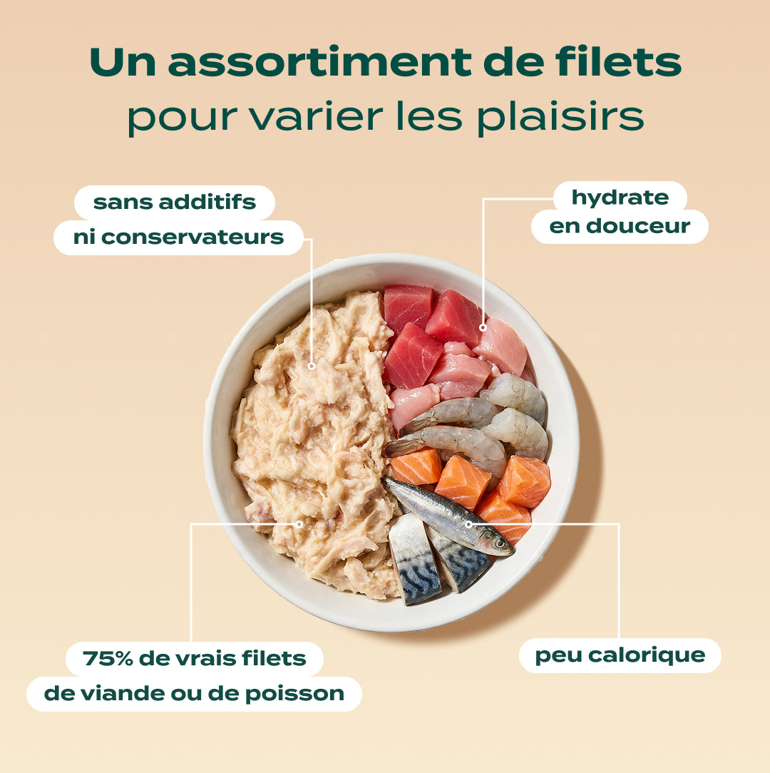 PACK DÉCOUVERTE CHAT